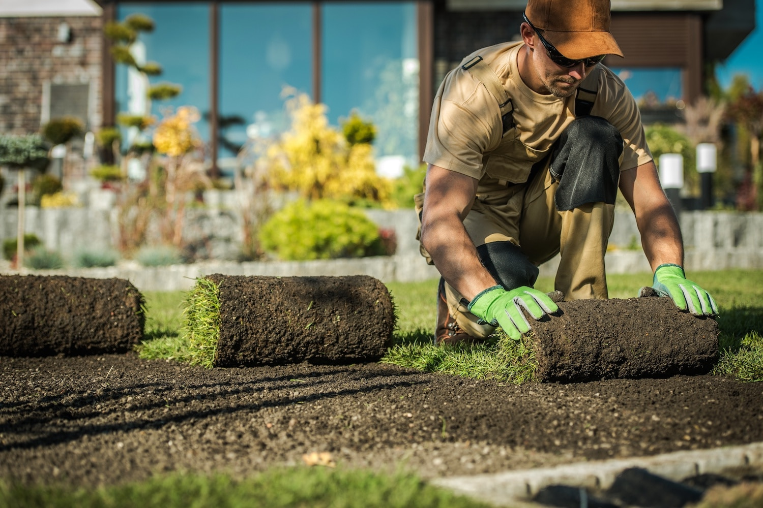 Landscape Marketing